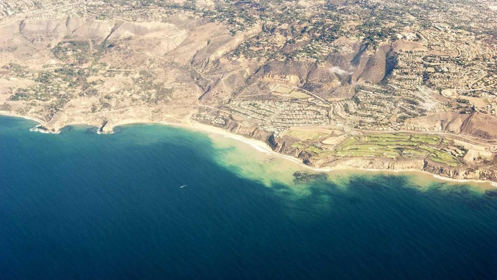 Metta Restaurant Website Hero Image